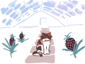 drawing of a cat sitting in the middle of pineapple greenhouse